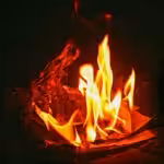 fire in the dark during night time
